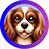 SheliApp icon